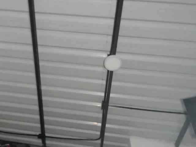 candylovet candylovet