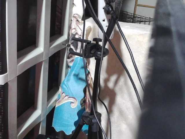 candyshane's BongaCams show and profile