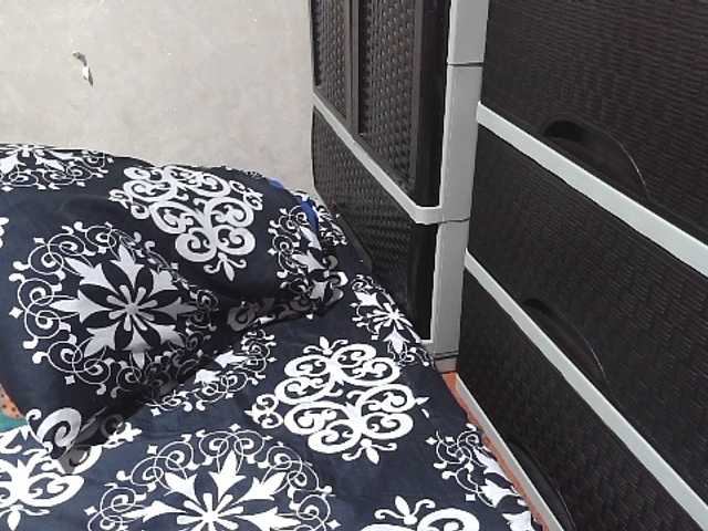 candyshane's BongaCams show and profile