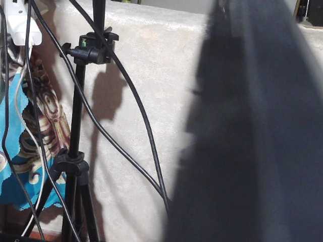 candyshane's BongaCams show and profile