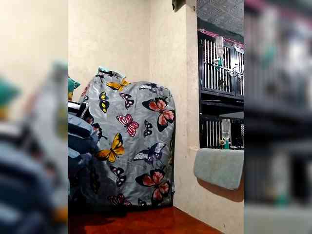 candyshane candyshane