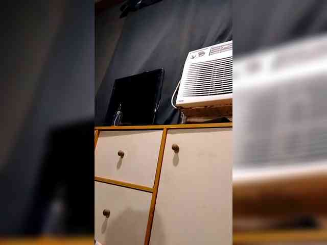 candyshane candyshane