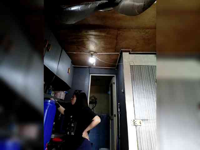 candyshane bongacams