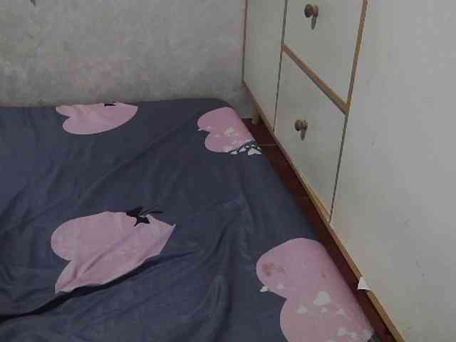 candyshane candyshane