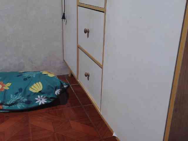 candyshane candyshane