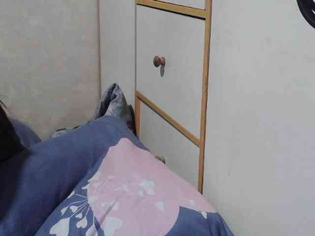 candyshane Live Webcam on BongaCams