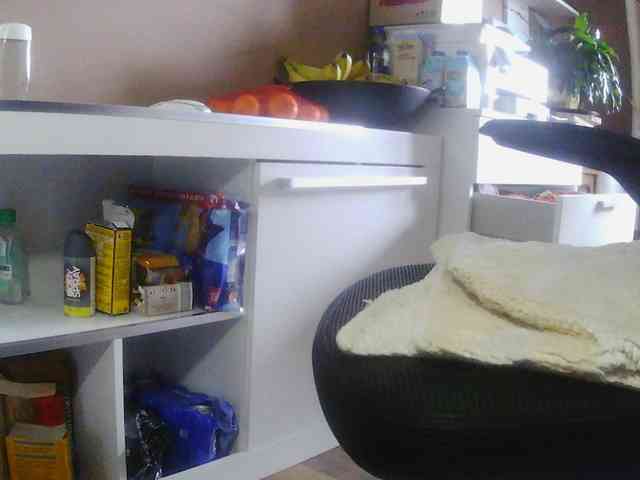 raym673 Live Webcam on BongaCams