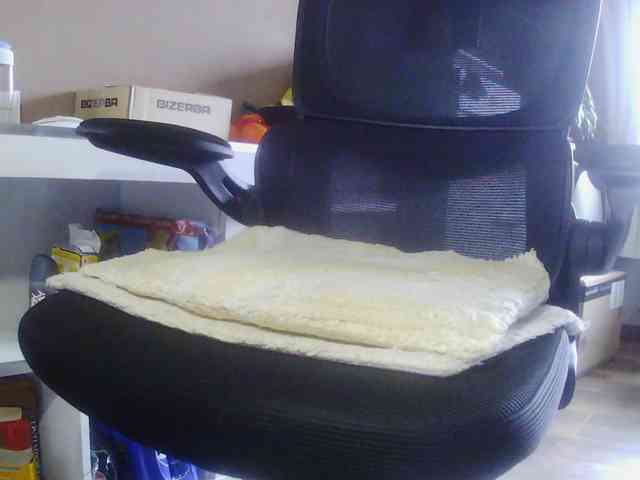 raym673 Live Webcam on BongaCams