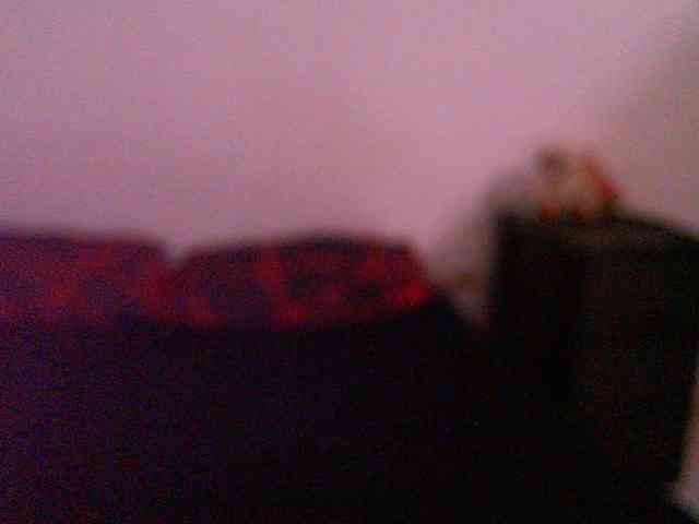 julianatasty julianatasty