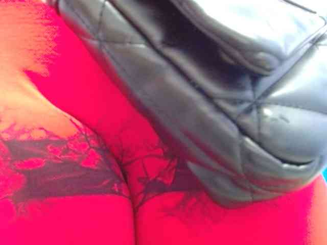 danilopezxxx webcam