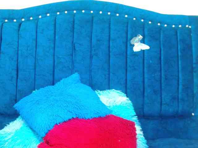 danilopezxxx webcam