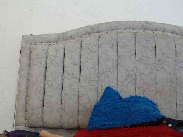 danilopezxxx webcam