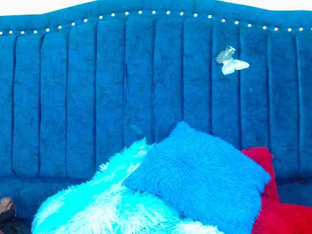 danilopezxxx webcam