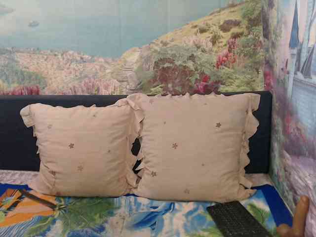 Indianaqua webcam