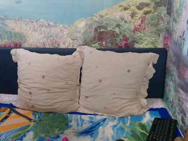 Indianaqua webcam