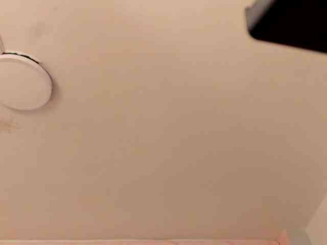 MollyBigboobs webcam
