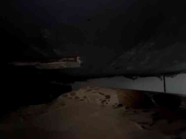 sexyasian27 sexyasian27