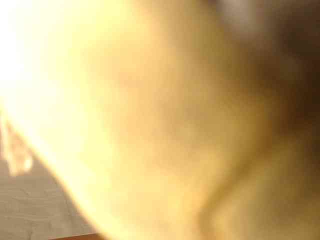 agathamiller agathamiller