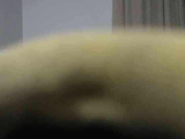 agathamiller webcam