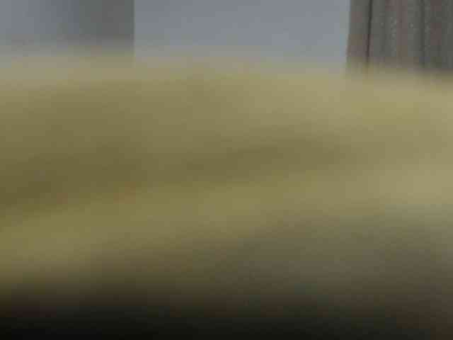 agathamiller webcam
