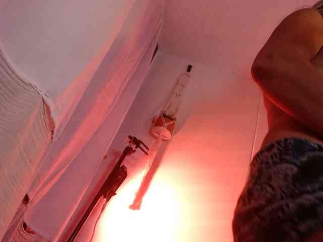 estelamars estelamars