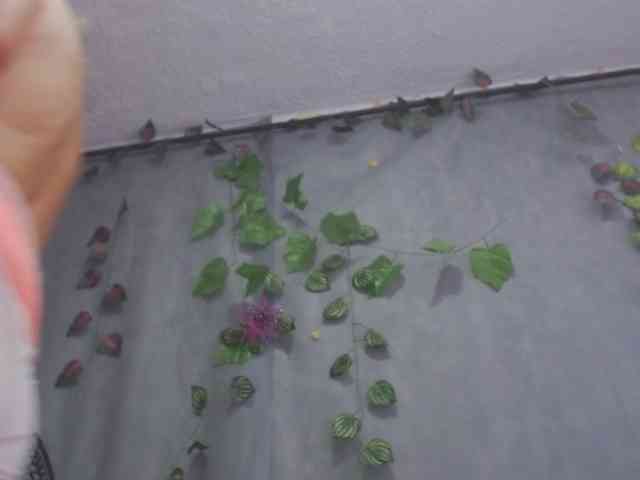 Estelamars webcam