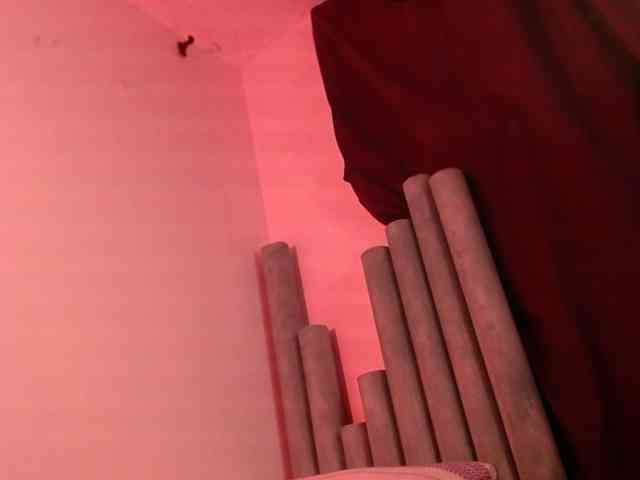 estelamars estelamars