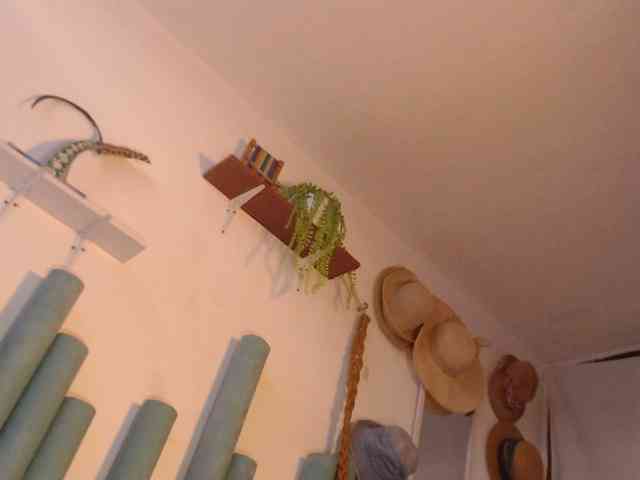Estelamars webcam