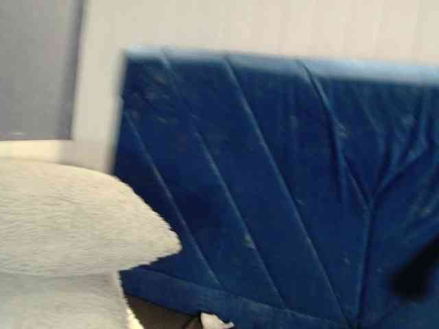 EmilyQueen3xx webcam