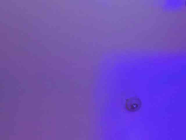 Gisell-Montoy webcam