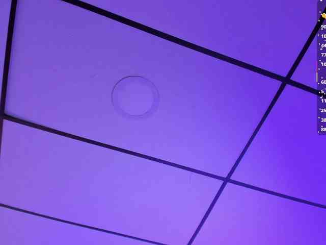 Gisell-Montoy webcam