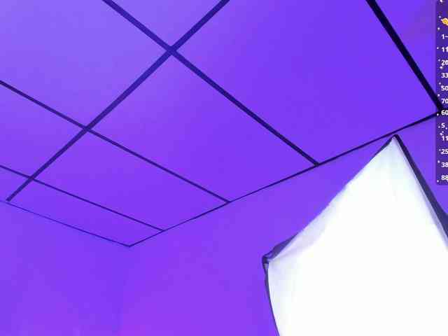 Gisell-Montoy Gisell-Montoy