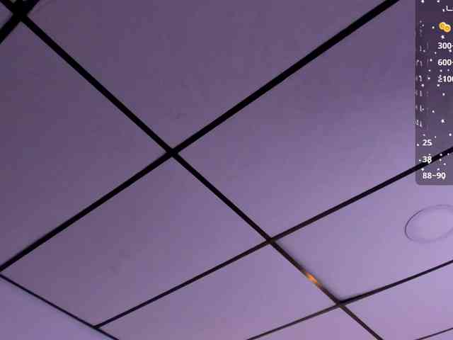 Gisell-Montoy webcam
