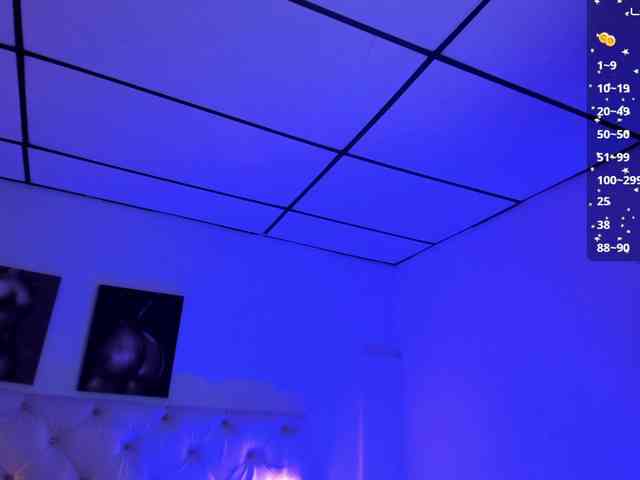 Gisell-Montoy webcam