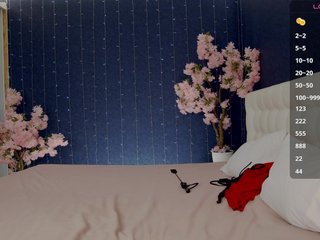 Mirror-Girl Porn Show