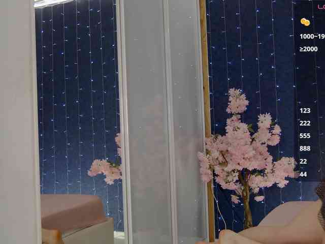 Mirror-Girl webcam