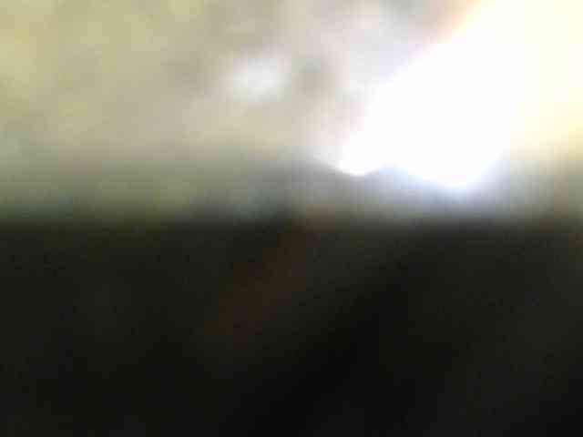 berry252 webcam