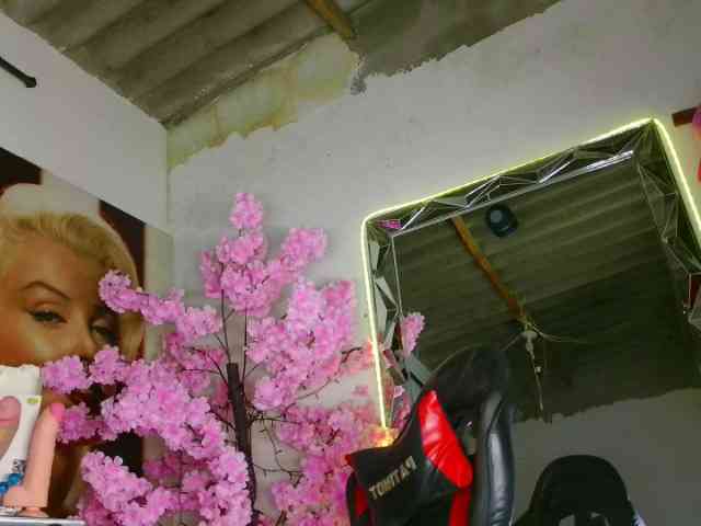 devilbigcockk Live Webcam on BongaCams