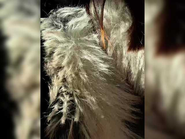 linahelen's BongaCams show and profile