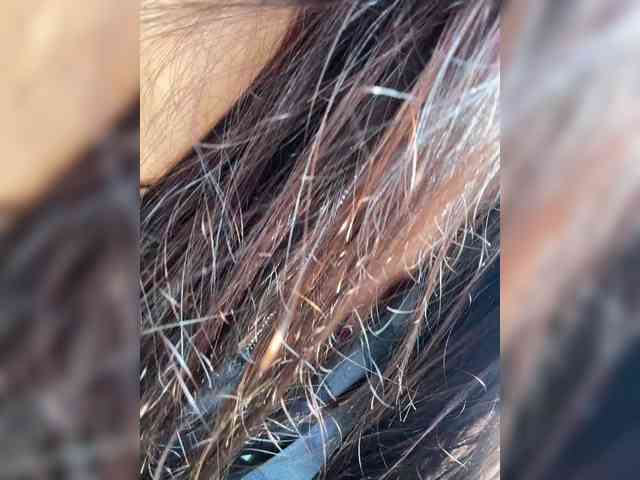 Marianna_ webcam