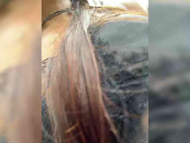 Marianna_ webcam