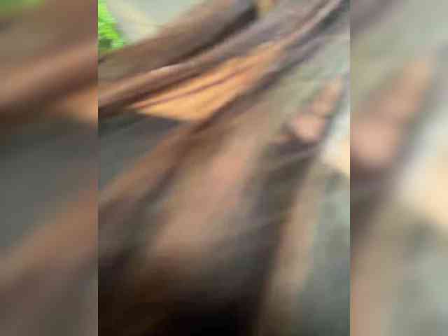live porno Linahelen