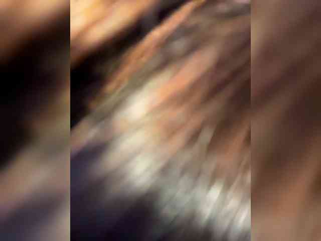 linahelen Live Webcam on BongaCams