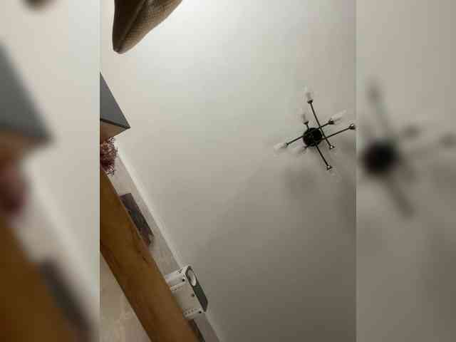 lavandaista lavandaista