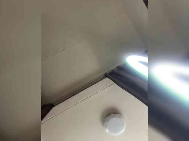 MaryModel webcam