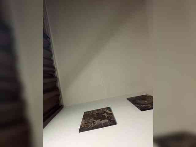 MaryModel webcam