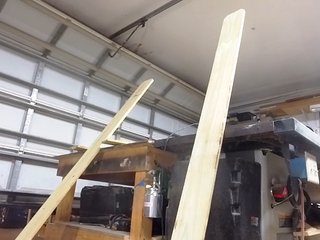1800fckyu Porn Show