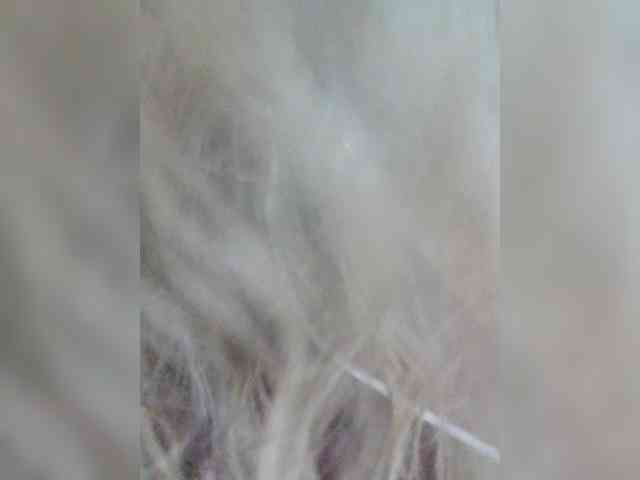 LarisaMaia Live Webcam on BongaCams