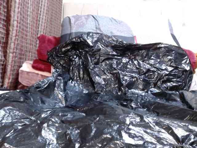 BustyBabeX webcam