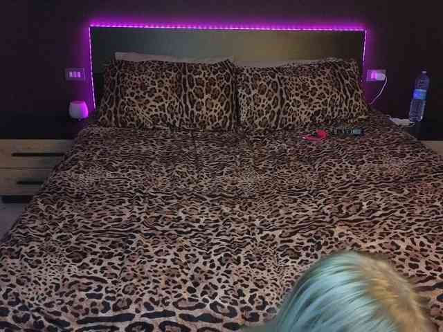 Evalogan24 Evalogan24